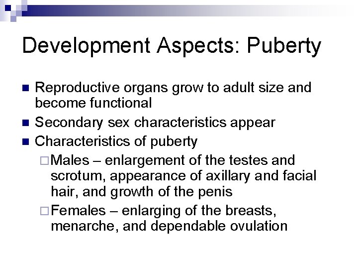 Development Aspects: Puberty n n n Reproductive organs grow to adult size and become