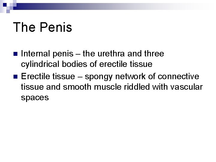 The Penis n n Internal penis – the urethra and three cylindrical bodies of