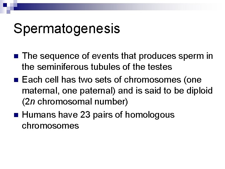 Spermatogenesis n n n The sequence of events that produces sperm in the seminiferous