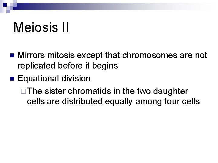 Meiosis II n n Mirrors mitosis except that chromosomes are not replicated before it