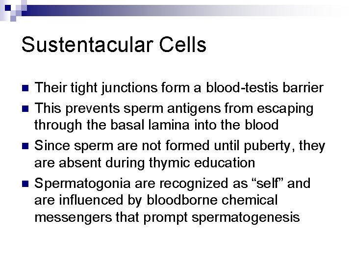 Sustentacular Cells n n Their tight junctions form a blood-testis barrier This prevents sperm