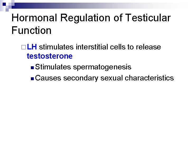 Hormonal Regulation of Testicular Function ¨ LH stimulates interstitial cells to release testosterone n