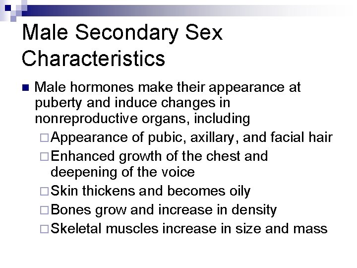 Male Secondary Sex Characteristics n Male hormones make their appearance at puberty and induce