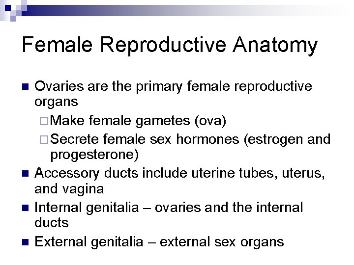 Female Reproductive Anatomy n n Ovaries are the primary female reproductive organs ¨ Make