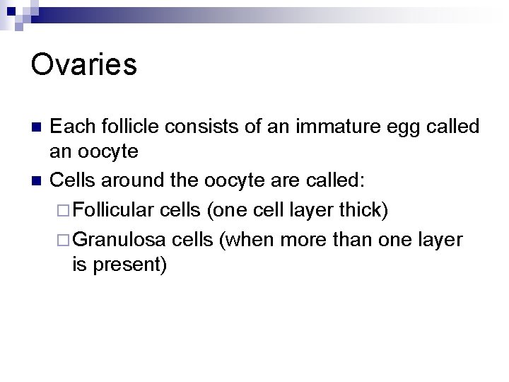 Ovaries n n Each follicle consists of an immature egg called an oocyte Cells
