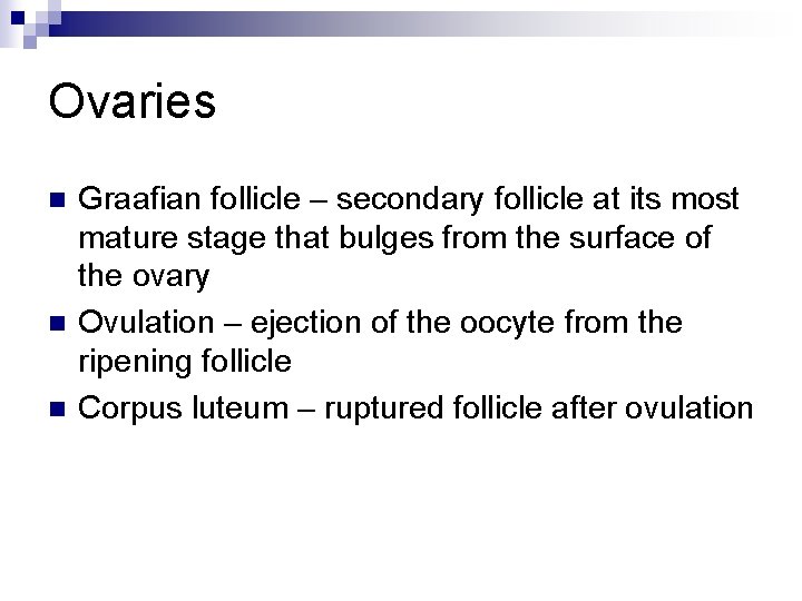 Ovaries n n n Graafian follicle – secondary follicle at its most mature stage