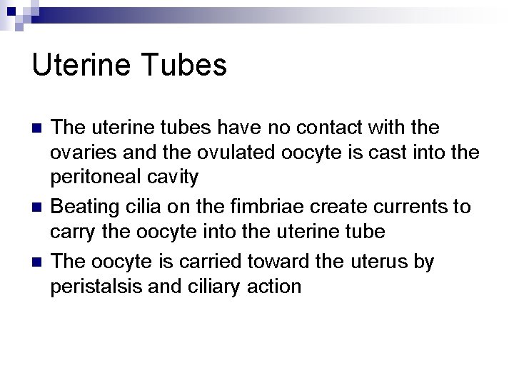 Uterine Tubes n n n The uterine tubes have no contact with the ovaries