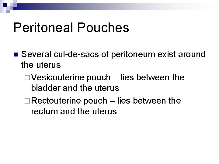 Peritoneal Pouches n Several cul-de-sacs of peritoneum exist around the uterus ¨ Vesicouterine pouch