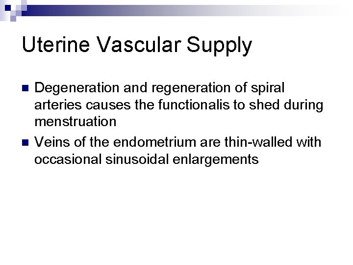 Uterine Vascular Supply n n Degeneration and regeneration of spiral arteries causes the functionalis