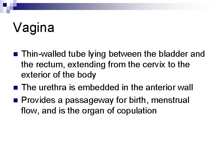 Vagina n n n Thin-walled tube lying between the bladder and the rectum, extending