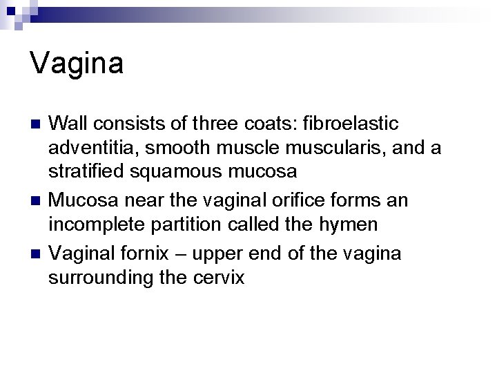 Vagina n n n Wall consists of three coats: fibroelastic adventitia, smooth muscle muscularis,