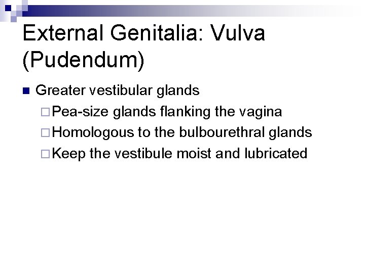 External Genitalia: Vulva (Pudendum) n Greater vestibular glands ¨ Pea-size glands flanking the vagina