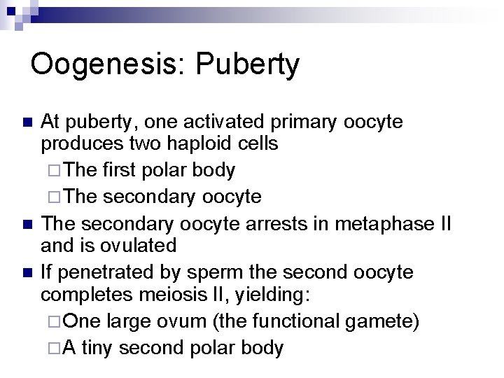 Oogenesis: Puberty n n n At puberty, one activated primary oocyte produces two haploid