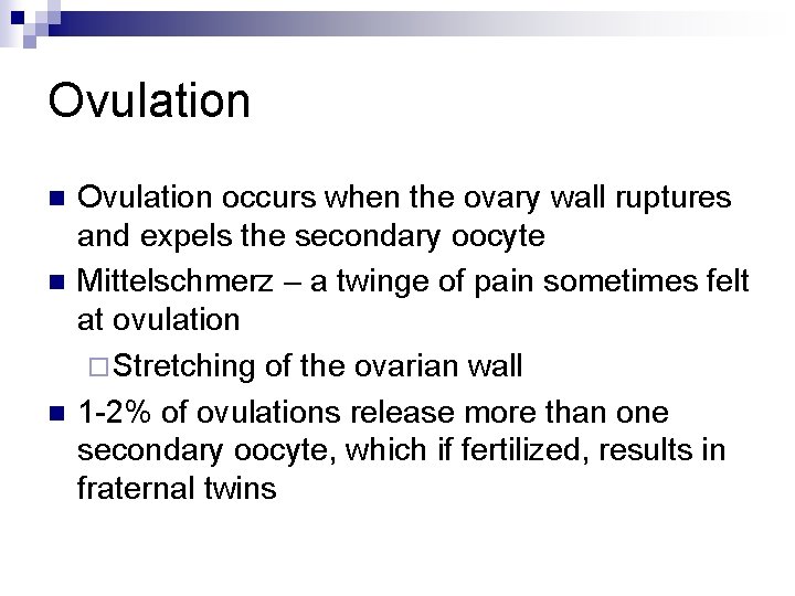 Ovulation n Ovulation occurs when the ovary wall ruptures and expels the secondary oocyte