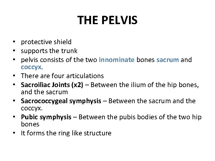 THE PELVIS • protective shield • supports the trunk • pelvis consists of the