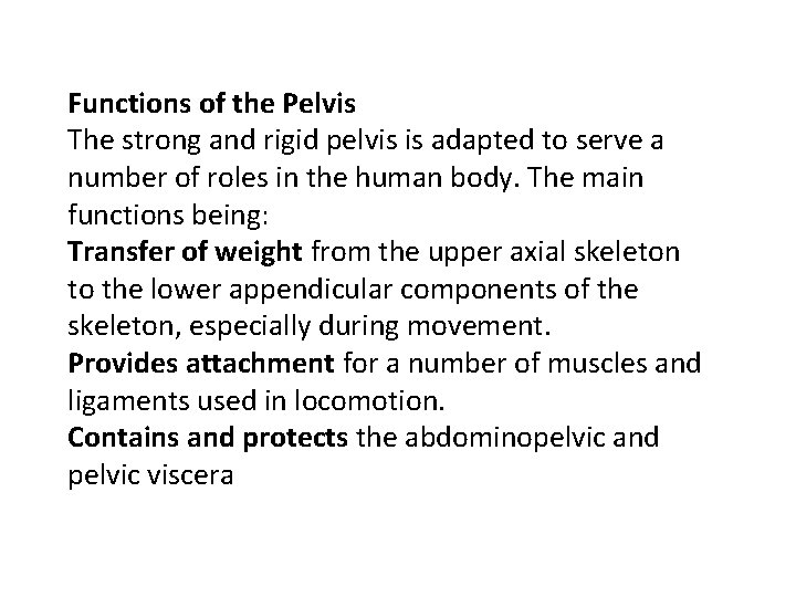Functions of the Pelvis The strong and rigid pelvis is adapted to serve a