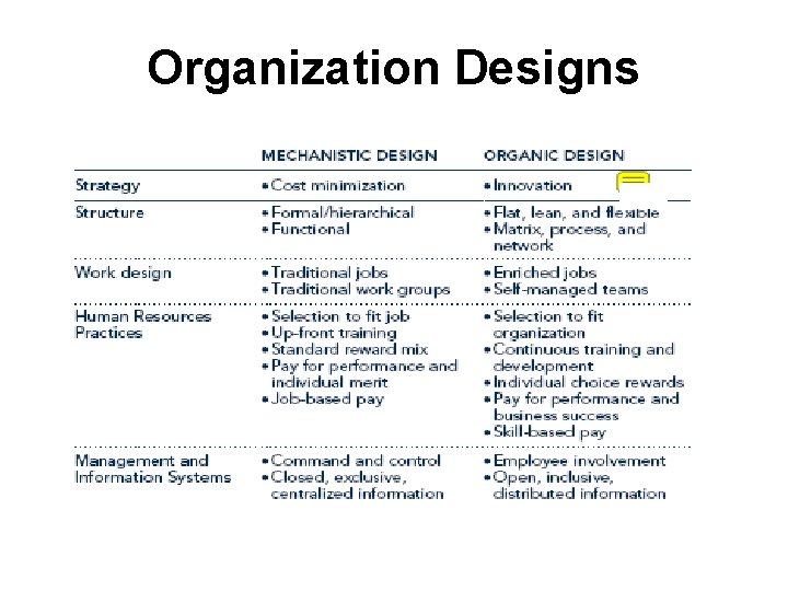Organization Designs 