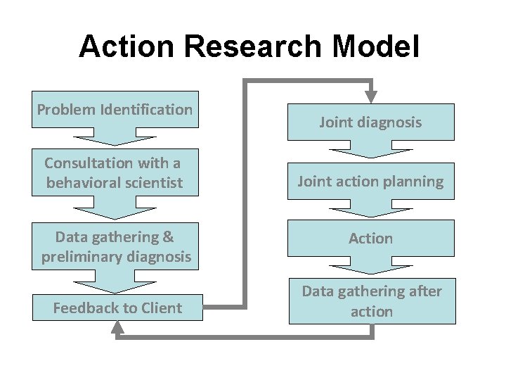 Action Research Model Problem Identification Consultation with a behavioral scientist Data gathering & preliminary