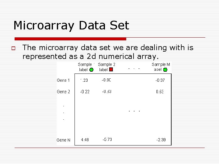 Microarray Data Set o The microarray data set we are dealing with is represented