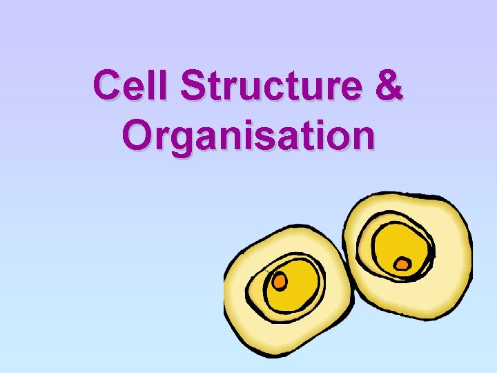Cell Structure & Organisation 