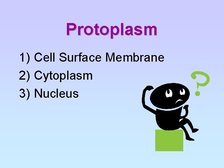 Protoplasm 1) Cell Surface Membrane 2) Cytoplasm 3) Nucleus 