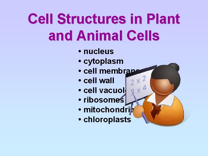 Cell Structures in Plant and Animal Cells • nucleus • cytoplasm • cell membrane