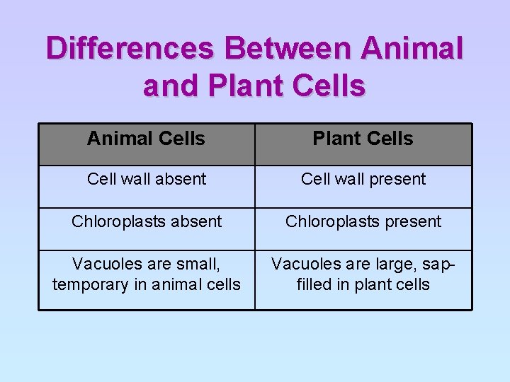 Differences Between Animal and Plant Cells Animal Cells Plant Cells Cell wall absent Cell