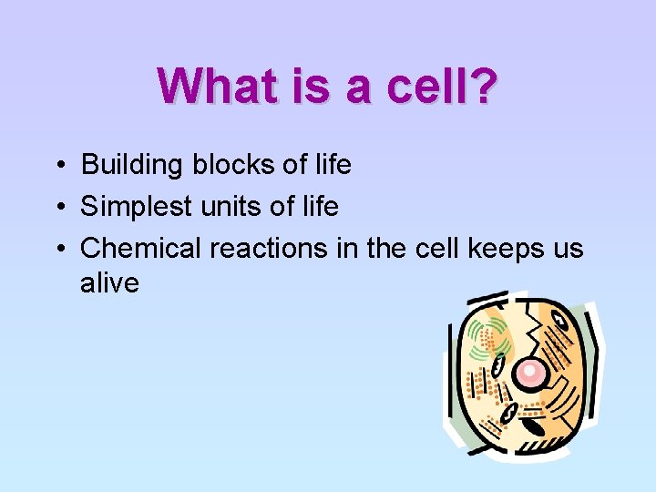 What is a cell? • Building blocks of life • Simplest units of life