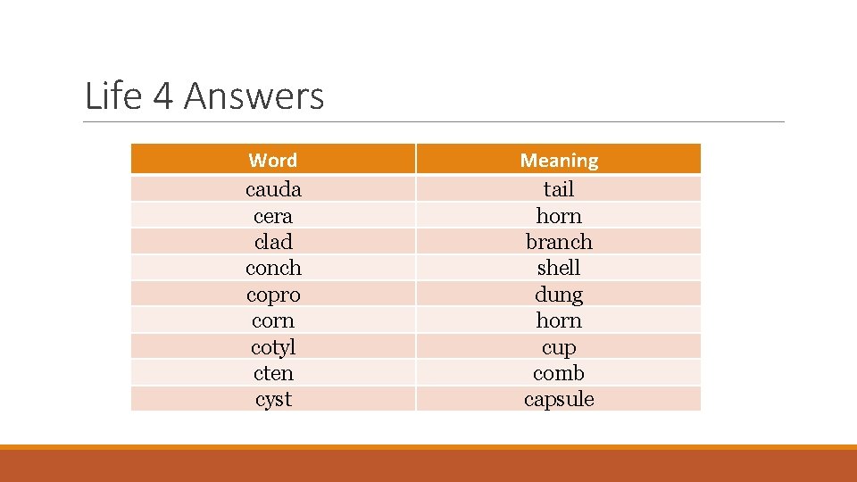 Life 4 Answers Word cauda cera clad conch copro corn cotyl cten cyst Meaning