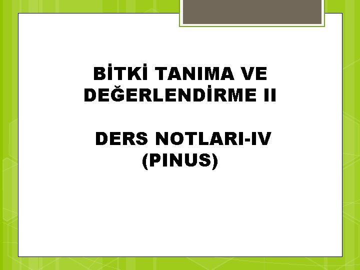 BİTKİ TANIMA VE DEĞERLENDİRME II DERS NOTLARI-IV (PINUS) 