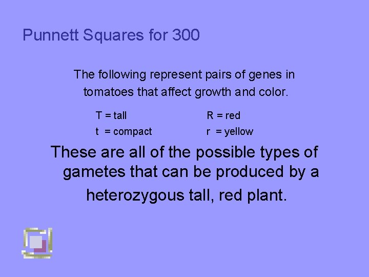 Punnett Squares for 300 The following represent pairs of genes in tomatoes that affect