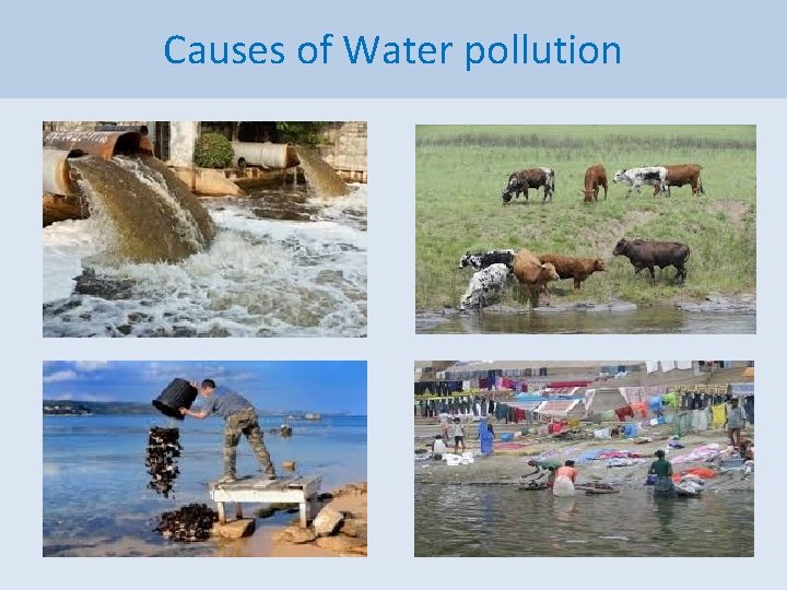 Causes of Water pollution 