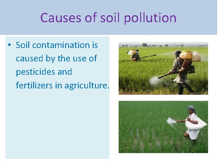 Causes of soil pollution • Soil contamination is caused by the use of pesticides