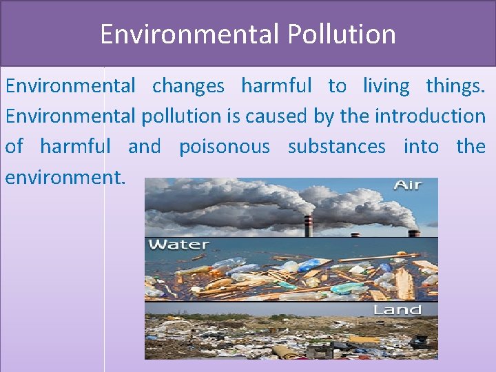 Environmental Pollution Environmental changes harmful to living things. Environmental pollution is caused by the