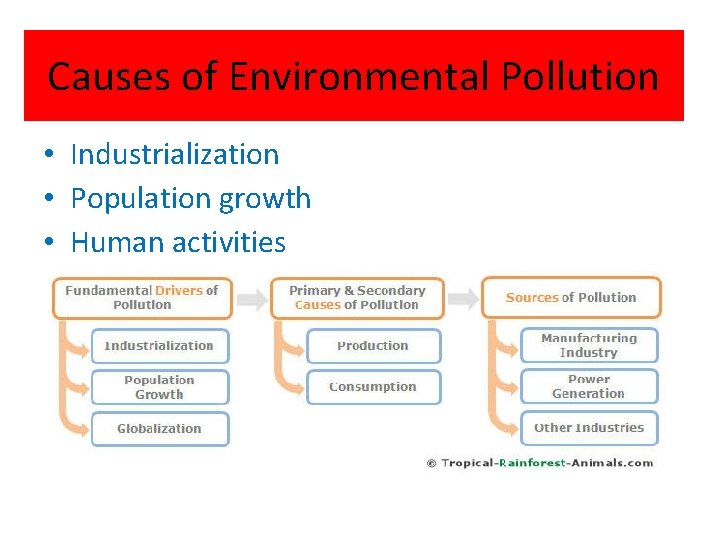 Causes of Environmental Pollution • Industrialization • Population growth • Human activities 