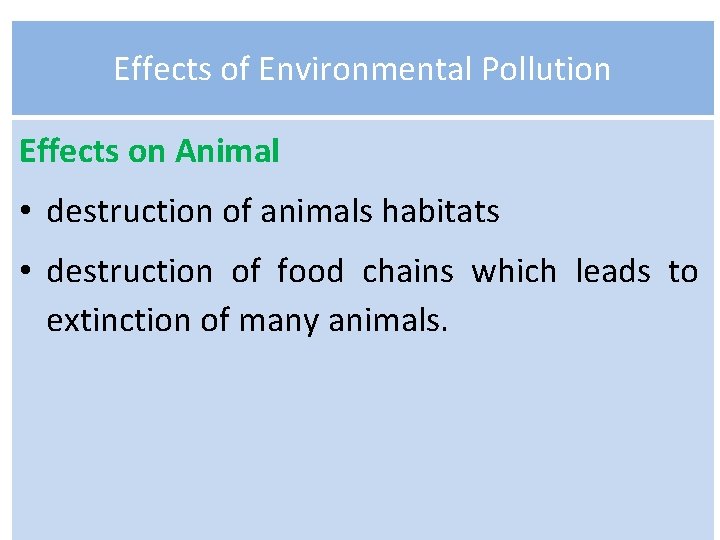 Effects of Environmental Pollution Effects on Animal • destruction of animals habitats • destruction