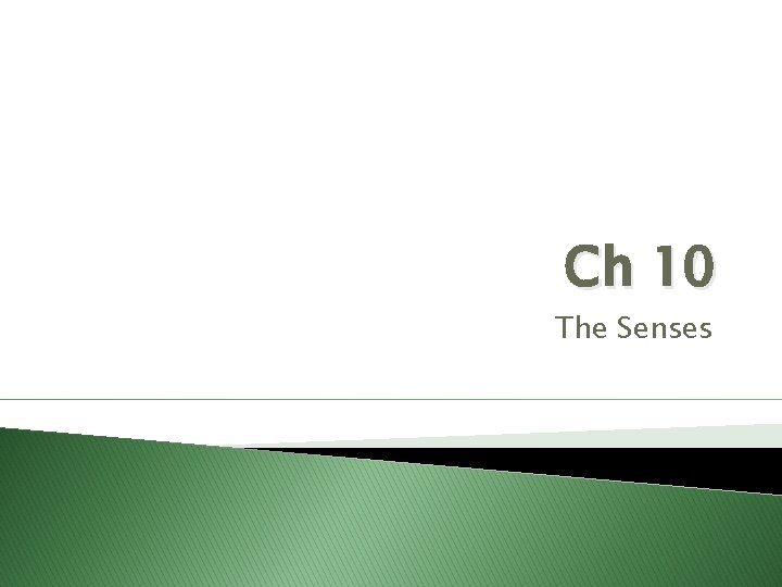 Ch 10 The Senses 