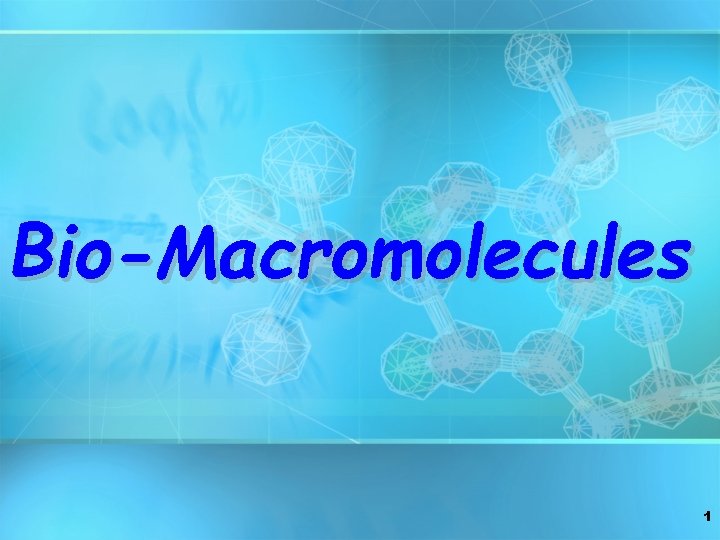 Bio-Macromolecules 1 