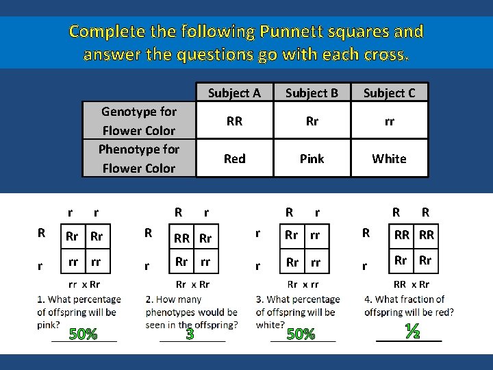 Complete the following Punnett squares and answer the questions go with each cross. Subject