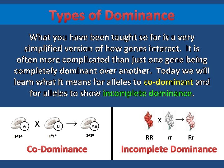 Types of Dominance What you have been taught so far is a very simplified