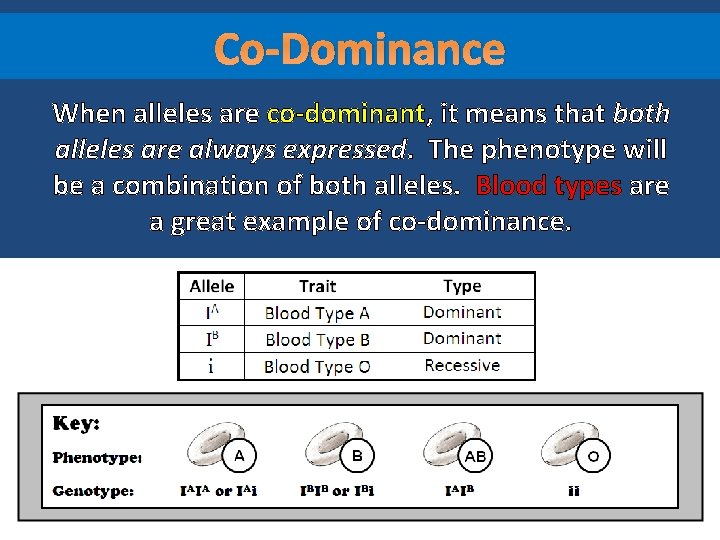 Co-Dominance When alleles are co-dominant, it means that both alleles are always expressed. The