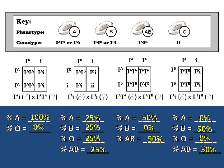 IA IA i i IA IA i IB IAIB IBi IA IA i i
