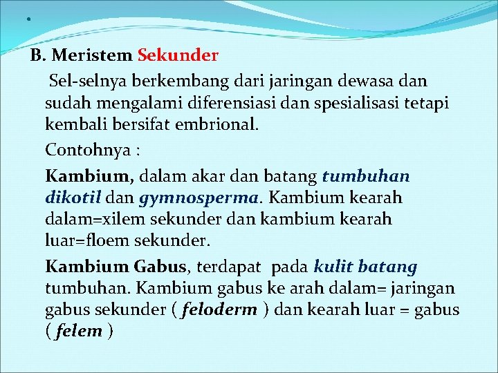 . B. Meristem Sekunder Sel-selnya berkembang dari jaringan dewasa dan sudah mengalami diferensiasi dan . B. Meristem Sekunder Sel-selnya berkembang dari jaringan dewasa dan sudah mengalami diferensiasi dan