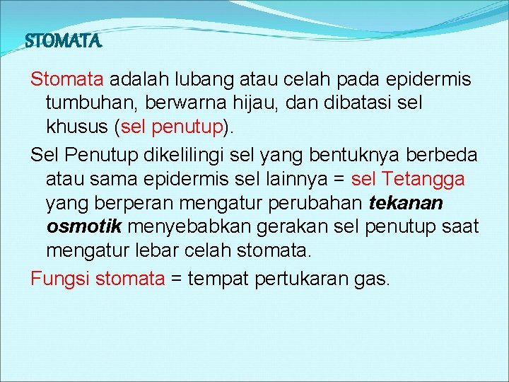 STOMATA Stomata adalah lubang atau celah pada epidermis tumbuhan, berwarna hijau, dan dibatasi sel