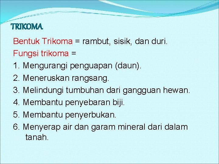 TRIKOMA Bentuk Trikoma = rambut, sisik, dan duri. Fungsi trikoma = 1. Mengurangi penguapan