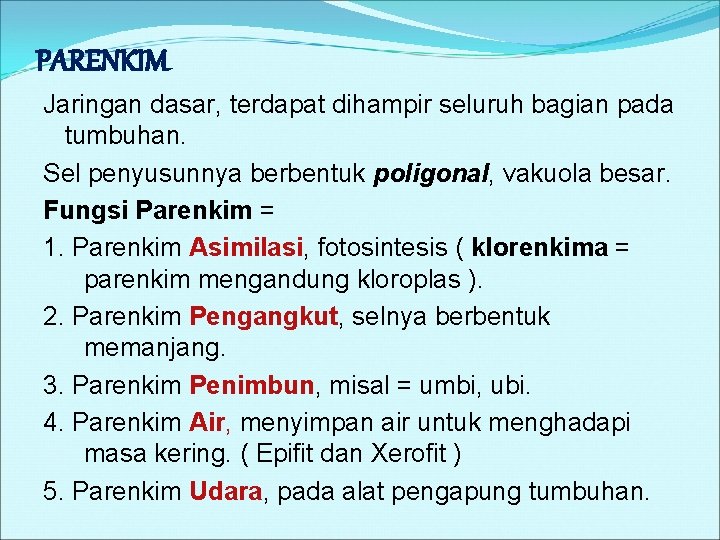 PARENKIM Jaringan dasar, terdapat dihampir seluruh bagian pada tumbuhan. Sel penyusunnya berbentuk poligonal, vakuola PARENKIM Jaringan dasar, terdapat dihampir seluruh bagian pada tumbuhan. Sel penyusunnya berbentuk poligonal, vakuola
