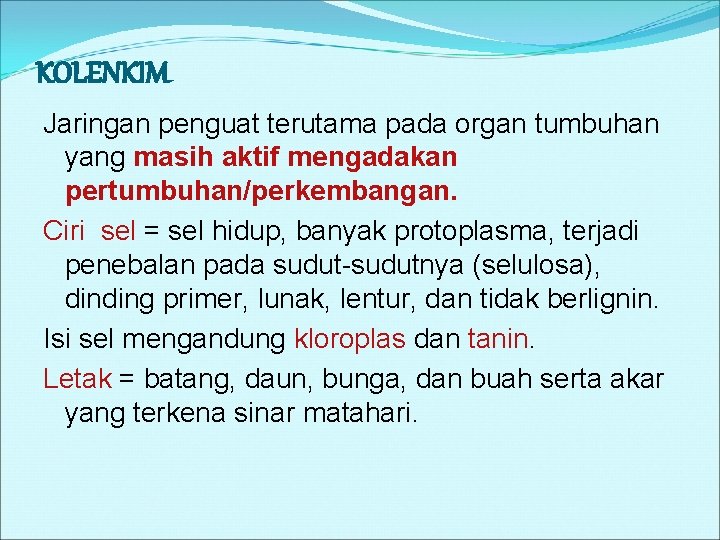 KOLENKIM Jaringan penguat terutama pada organ tumbuhan yang masih aktif mengadakan pertumbuhan/perkembangan. Ciri sel KOLENKIM Jaringan penguat terutama pada organ tumbuhan yang masih aktif mengadakan pertumbuhan/perkembangan. Ciri sel