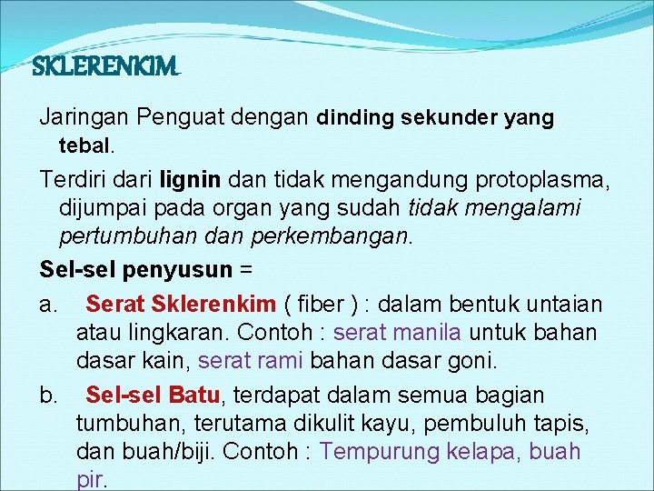 SKLERENKIM Jaringan Penguat dengan dinding sekunder yang tebal. Terdiri dari lignin dan tidak mengandung