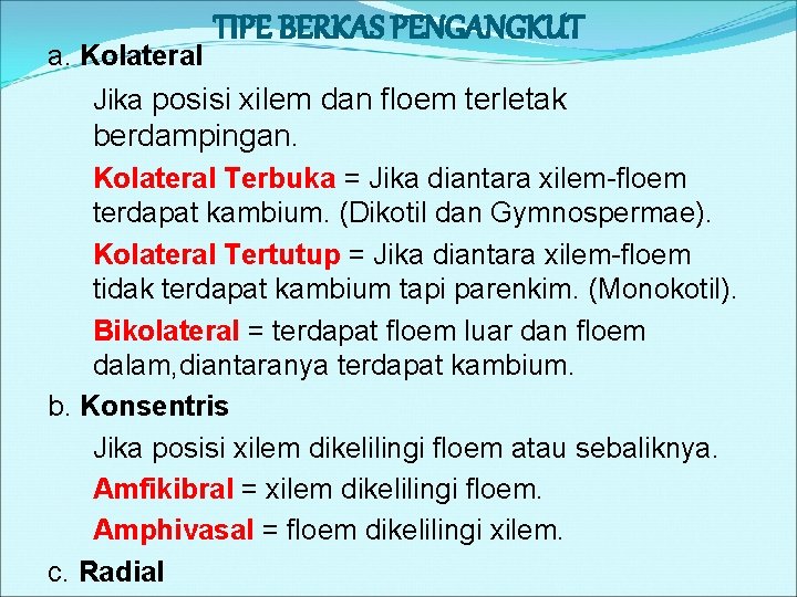 a. Kolateral TIPE BERKAS PENGANGKUT Jika posisi xilem dan floem terletak berdampingan. Kolateral Terbuka