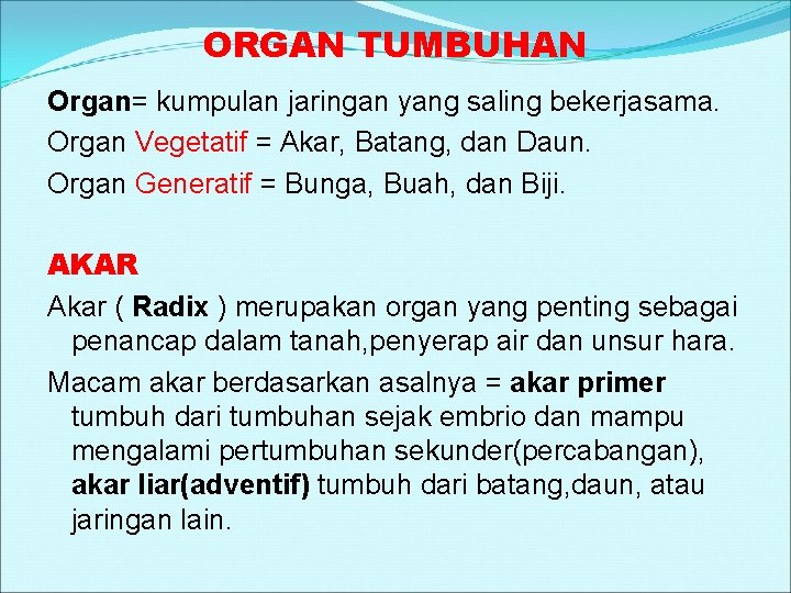 ORGAN TUMBUHAN Organ= kumpulan jaringan yang saling bekerjasama. Organ Vegetatif = Akar, Batang, dan